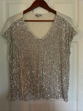 Sequin V-Neck Short Sleeve Top - Silver